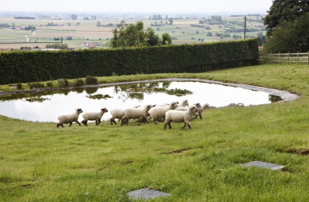 Vacation Home Landgoed De Monteberg Dranouter Bilik gambar